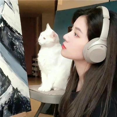 虹猫蓝兔奥悠国历险记